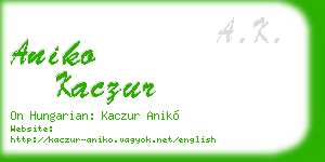 aniko kaczur business card
